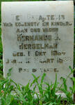Free State, THEUNISSEN district, Driewater 132, farm cemetery