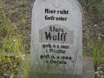 WOLFF Alois 1882-1904