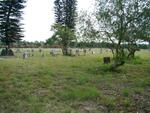 3. Overview of Mtubatuba Cemetery
