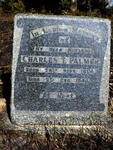 PALMER Charles Thomas 1864-1940