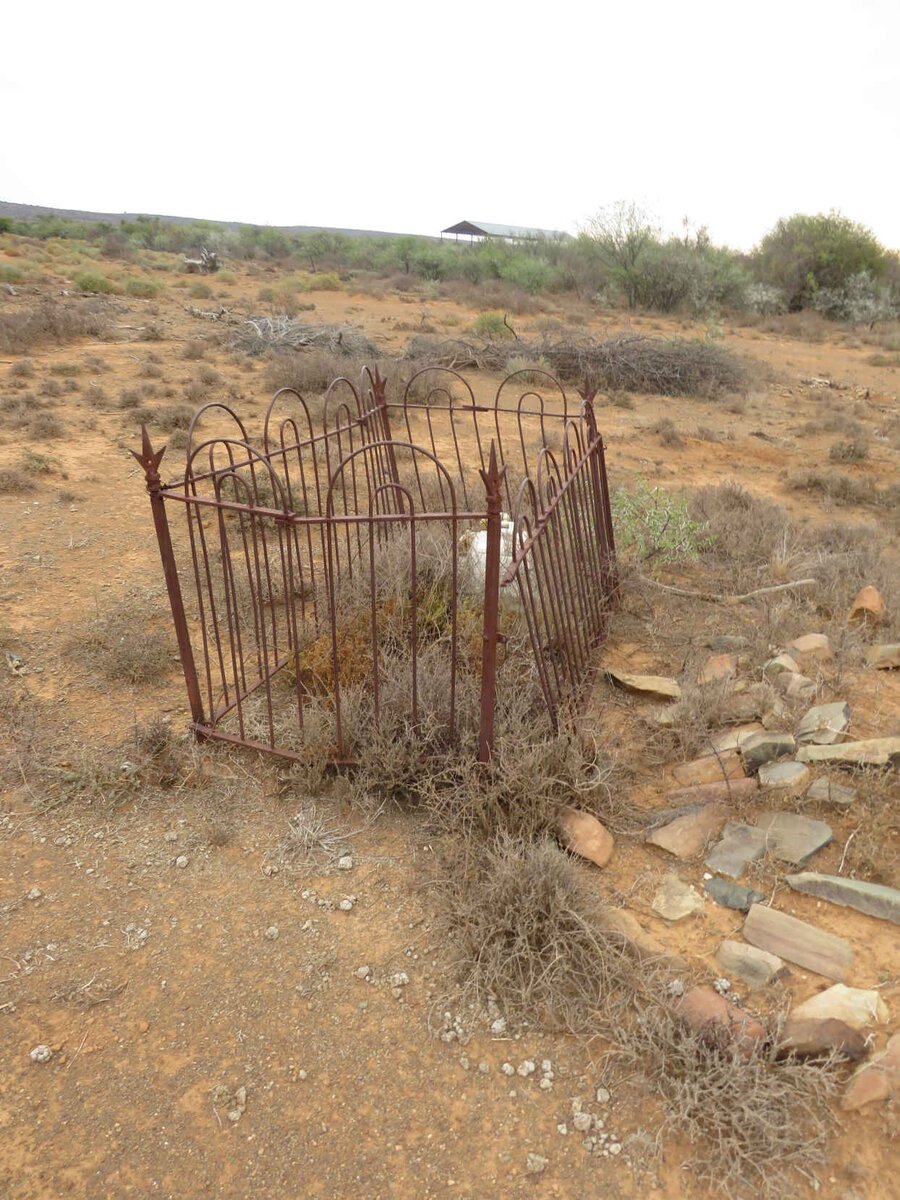 2. Overview / Oorsig