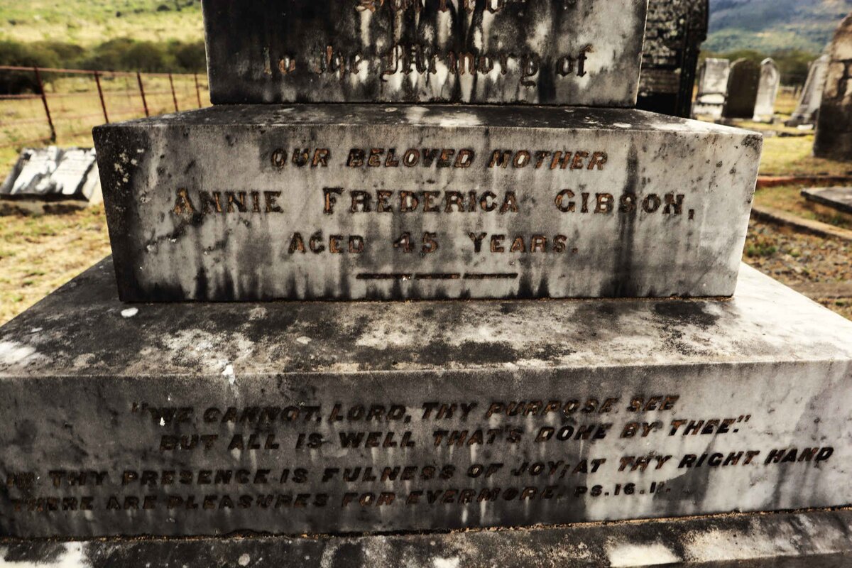 GIBSON Annie Frederica :: PEARSON Emily Caroline -1906 _2