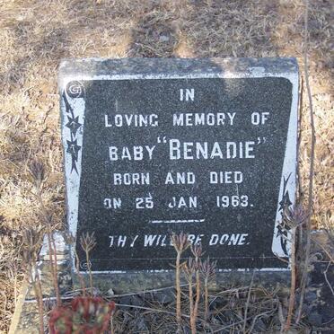 BENADIE Baby 1963-1963