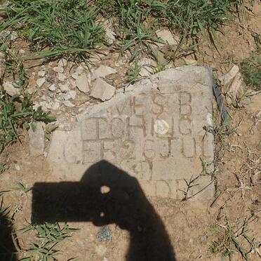 KITCHING James B. 1941-