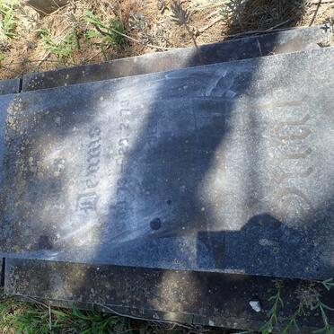 SMIT Dennis 1973-1973