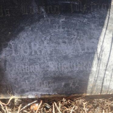 WALKER Flora nee SHELDRAKE 1884-1970