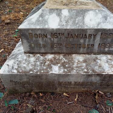 WILL Jessie Adelaide 1899-1899