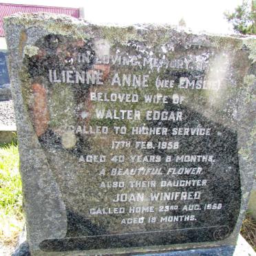 EDGAR Ilienne Anne nee EMSLIE -1958 :: EDGAR Joan Winifred -1958