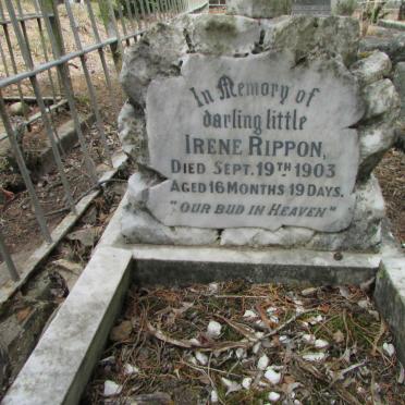 RIPPON Irene -1903