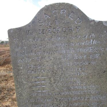 HITCHINGS :: CRILLEY :: CILLIES :: MARR :: PHILIPES :: SANDERSON :: BROTHERSTON