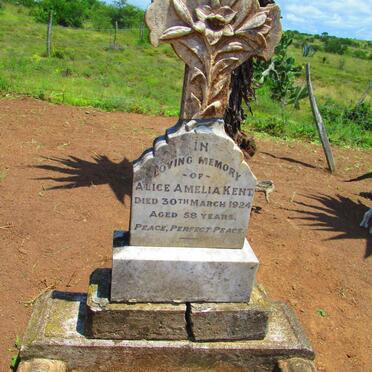 KENT Alice Amelia -1924