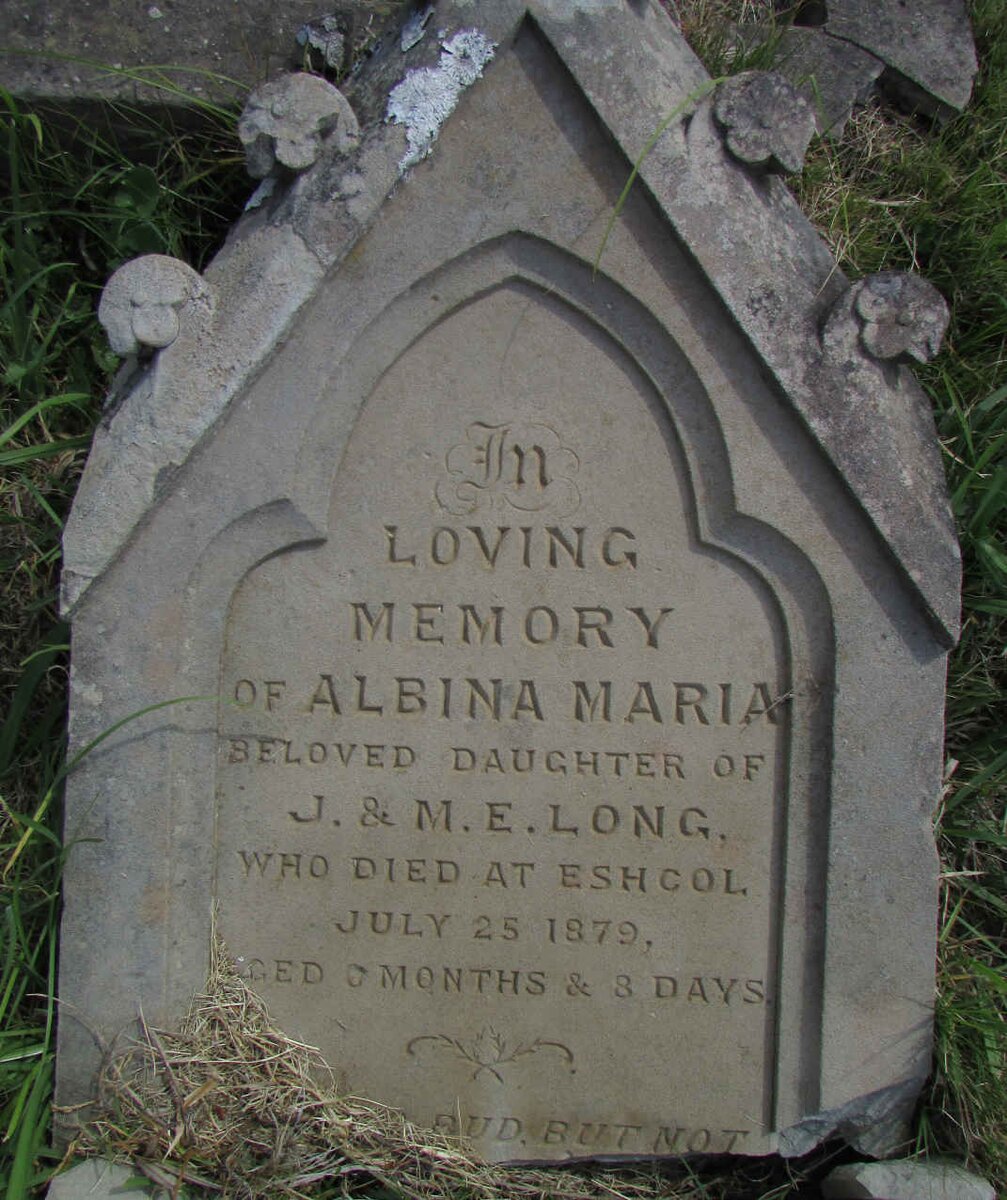 LONG Albina Maria -1879