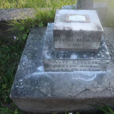 EMSLIE Avis -1931