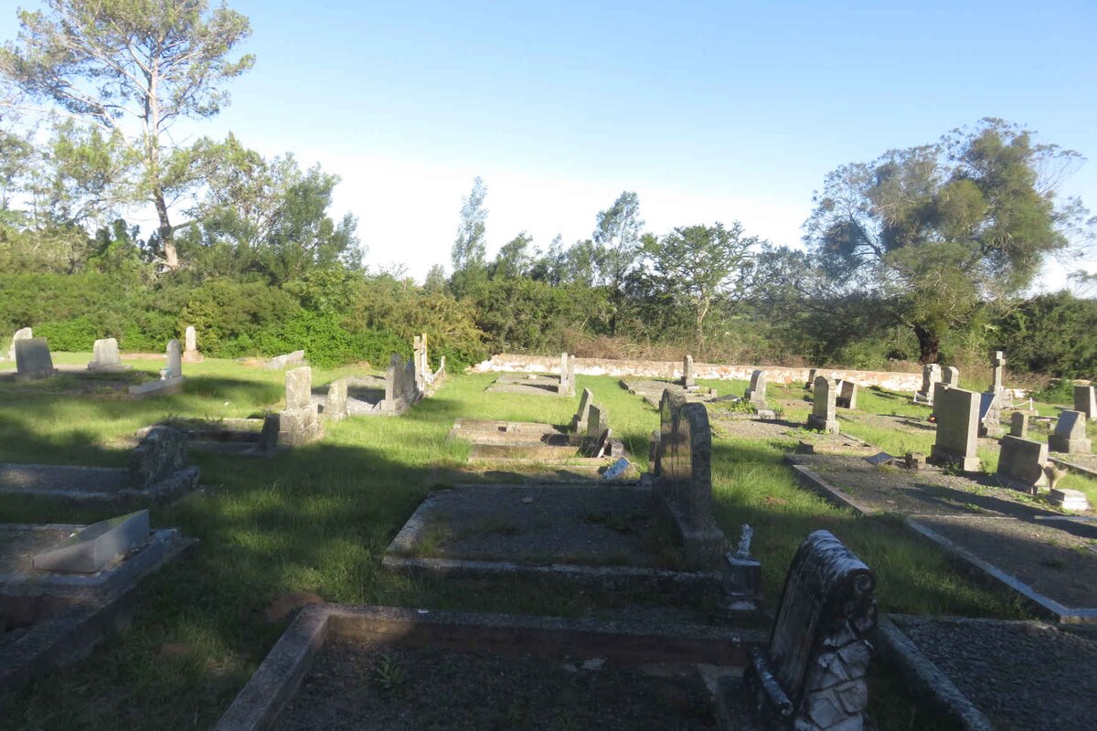 5. Overview / oorsig