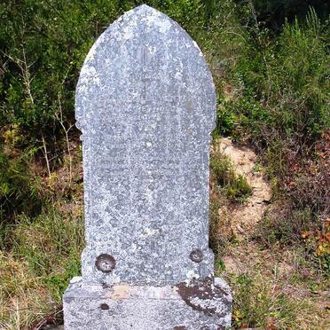 VENTER Eva 1892-1914