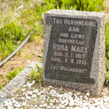 MARX Rosa 1917-1921