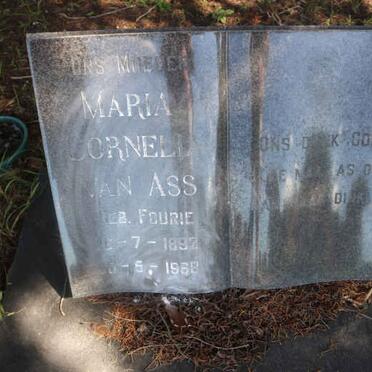 A - Surnames :: Vanne - A