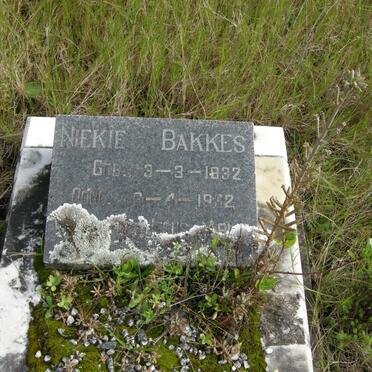 BAKKES Niekie 1932-1932