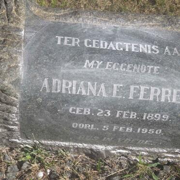 FERREIRA Adriana E. 1899-1950