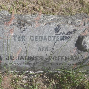 HOFFMAN Johannes 1884-1940
