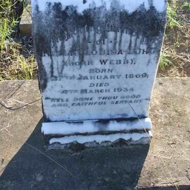 LONG Nellie Louisa nee WEBB 1869-1934