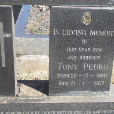 PEDRO Tony 1960-1967
