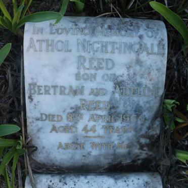 REED Athol Nightingale -1964