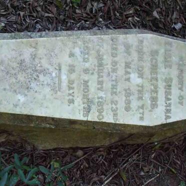 SCHEEPERS Elsie Susanna 1889-1890