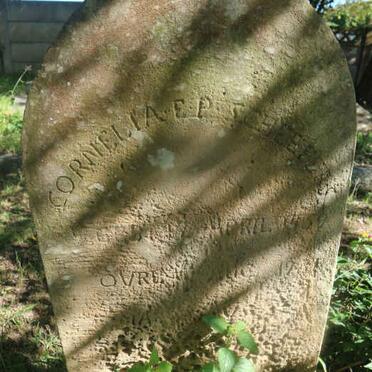 SCHEEPERS Cornelia E.P. 1859-1931