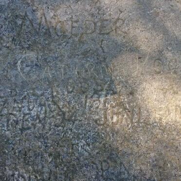 VOGEL Hendrica Catharina nee CROUS 18??-1915