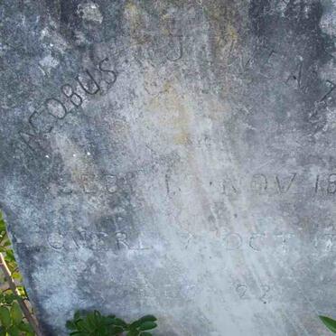 WENTZEL Jacobus J. 1850-1923