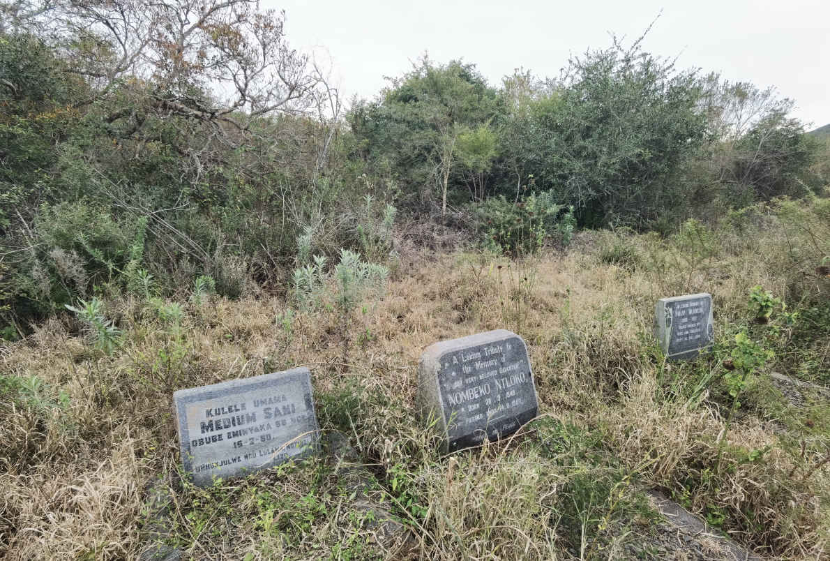 2. Overview / Oorsig