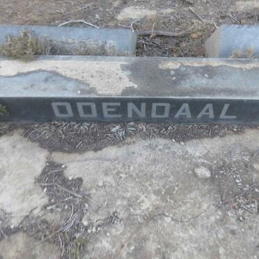 ODENDAAL Nicolaas Jacobus 1925-1926 :: ODENDAAL Gert Pieter Christiaan 1927-1927