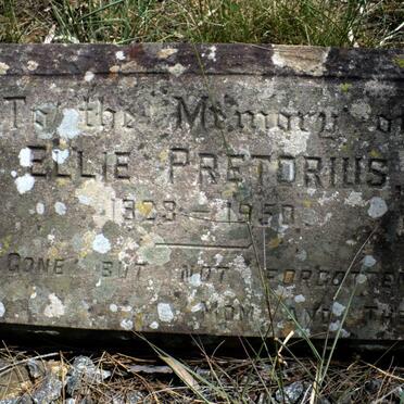 PRETORIUS Ellie 1823-1950