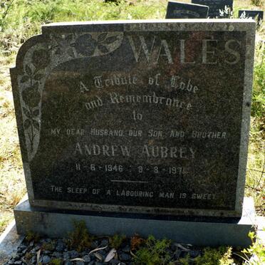 W - Surnames :: Vanne - W