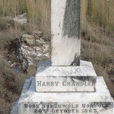 CHANDLER Harry 1863-