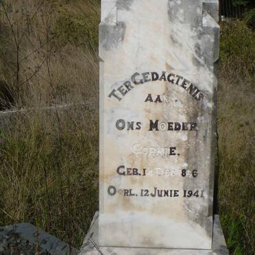 STEYN Cornie 1866-1941