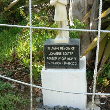 SOLTER Jo-Anne 2006-2012