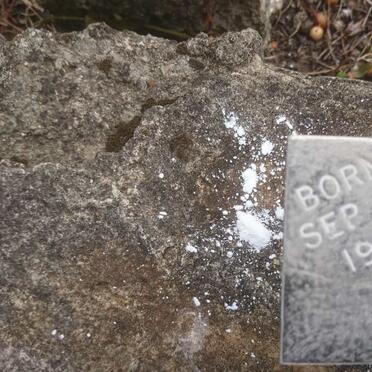 VOIGT Nevil 1930-1931