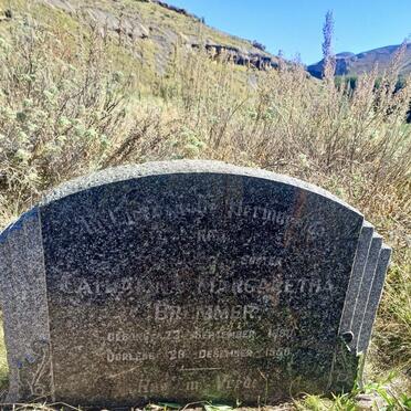 BRUMMER Catharina Margaretha 1880-1950