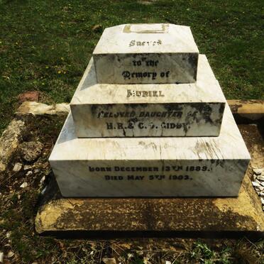 GIDDY Muriel 1889-1903