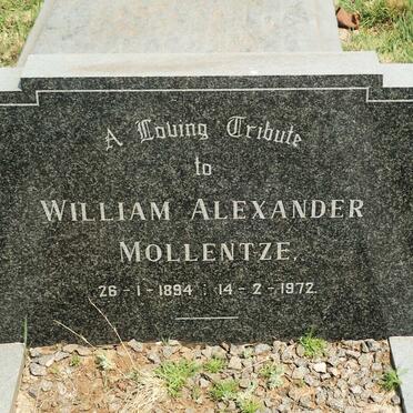 MOLLENTZE William Alexander 1894-1972