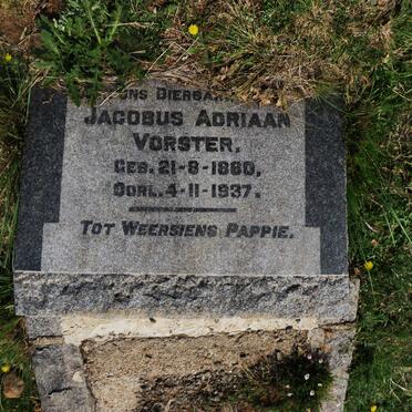 VORSTER Jacobus Adriaan 1860-1937