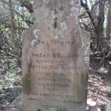 Eastern Cape, BATHURST district, Kasouga, Theopolis 306, farm cemetery