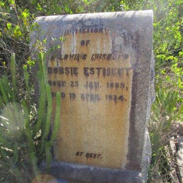 ESTMENT Bobsie 1885-1934