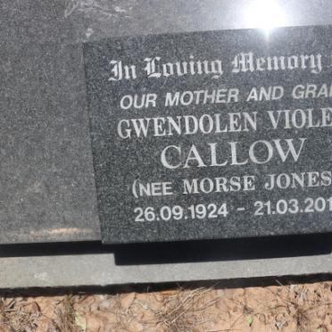 CALLOW Gwendolen Violet nee MORSE-JONES 1924-2011