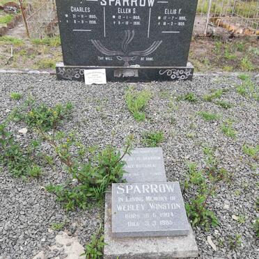 SPARROW Charles 1865-1938 &amp; Ellen S. 1869-1936 :: SPARROW Ellis F. 1895-1920