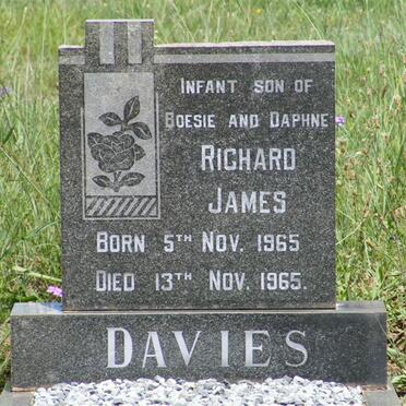 D - Vanne :: Surnames - D