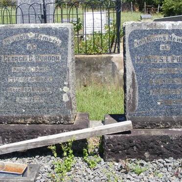 PURDON George C. -1943 &amp; Minnie S.L. TIMM -1951