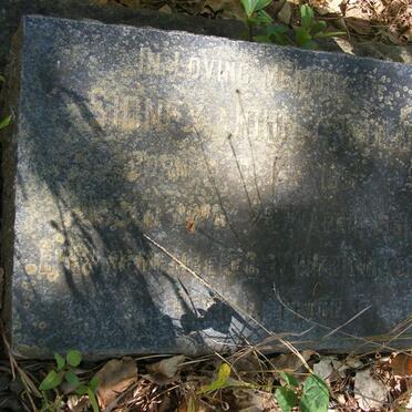 ARNOLD Sidney John 189?-1951